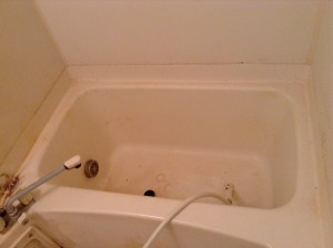浴室クリーニングカビ除去