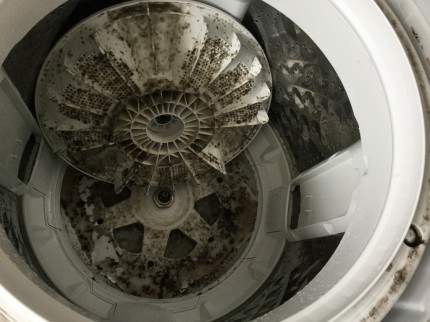 洗濯機パナソニック分解洗浄