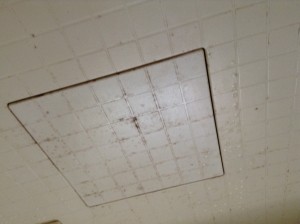 浴室　天井　カビ除去