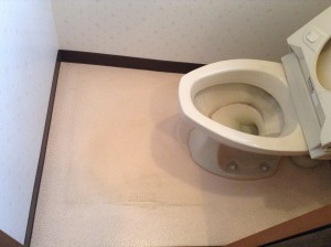 トイレ　尿石　黒ズミ　輪ジミ　床　クリーニング