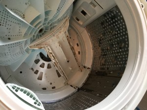 洗濯機ドラム水流上昇部の分解