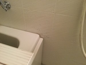 浴室の壁面色付け補修