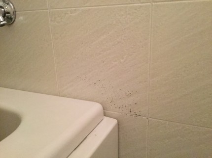 浴室の壁面色付け補修