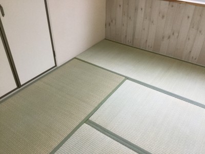 畳のカビ除去　防カビ処理