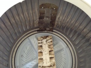 シャープ洗濯機の分解クリーニング