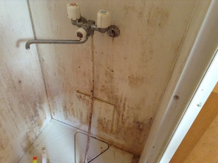 シャワールームのカビ汚れ落とし