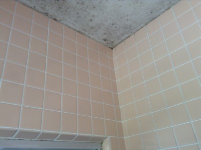 お風呂場のタイル壁　カビ除去