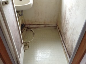 カビだらけの浴室のクリーニング方法