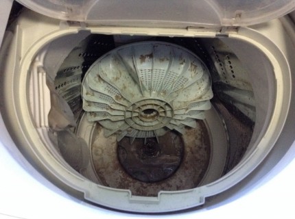 洗濯機の分解洗浄