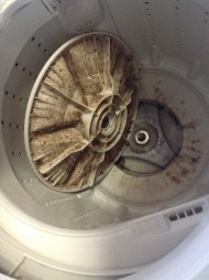洗濯機のカビ分解洗浄
